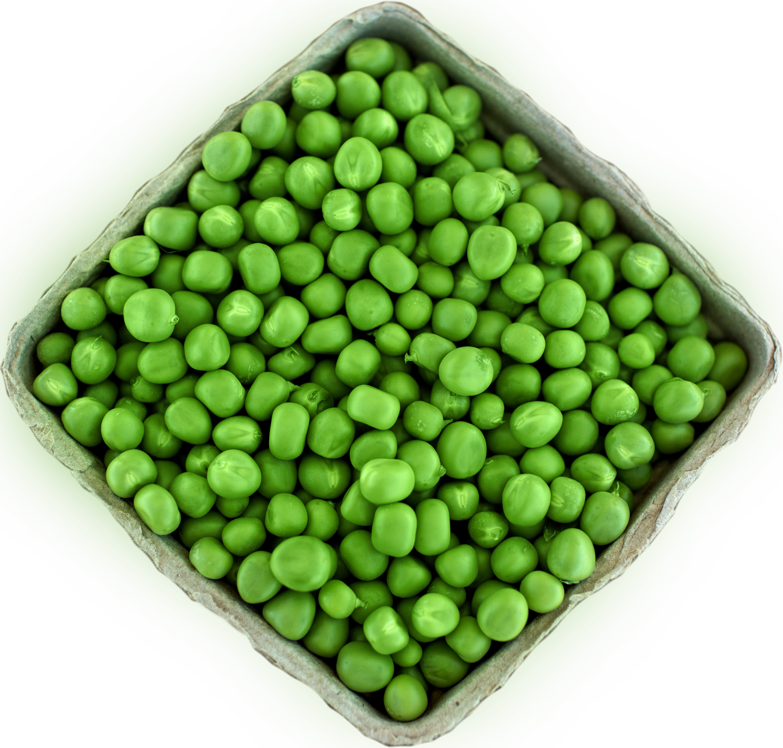 peas1.png